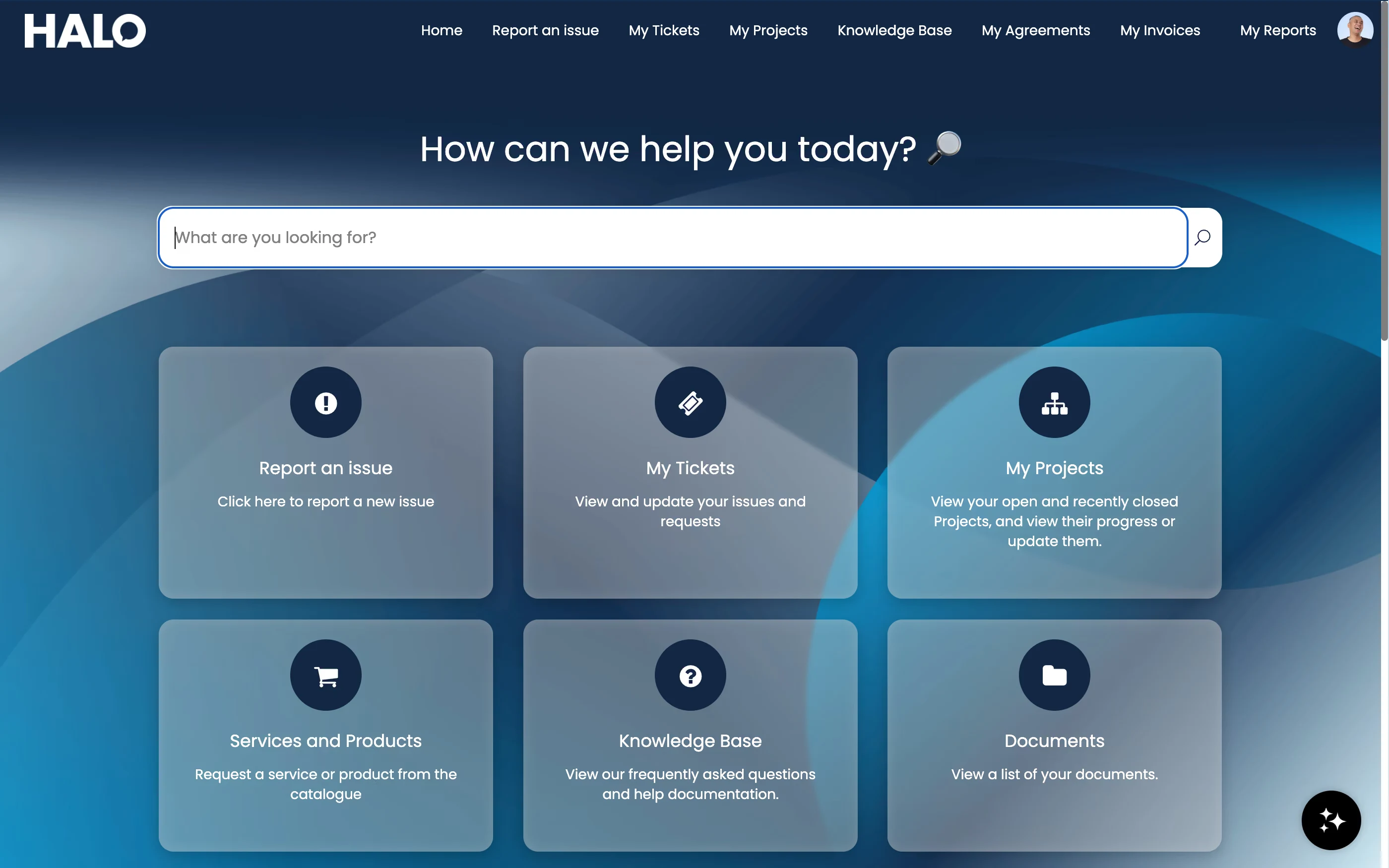 A Halo CSM customer portal home screen themed differently to the one shown at the top of this page — its own welcome message, colour scheme, background and set of tiles
